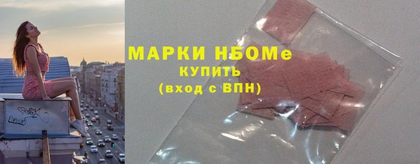 крисы Слюдянка
