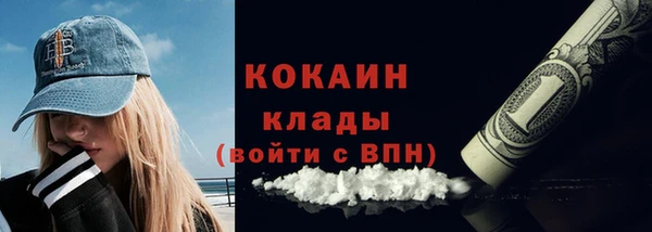 крисы Слюдянка