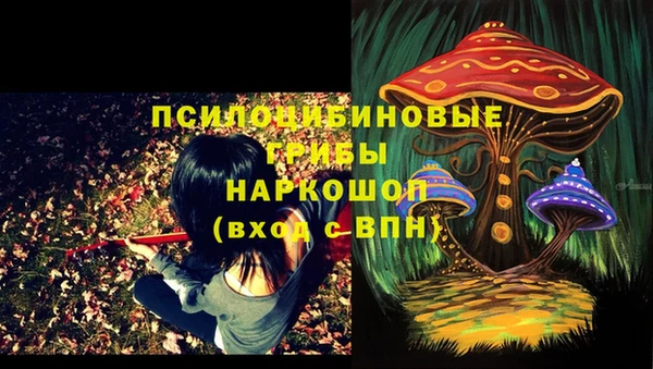 крисы Слюдянка