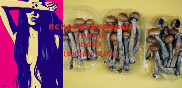 крисы Слюдянка