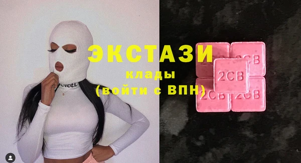 крисы Слюдянка