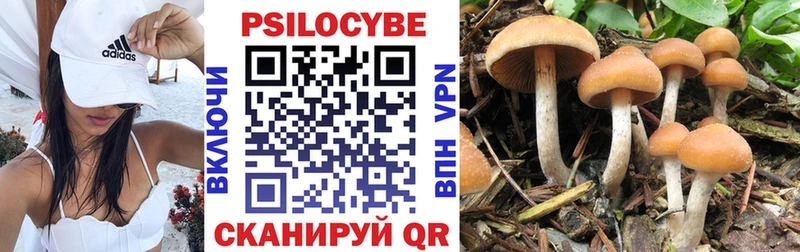 Купить  Пугачёв  Псилоцибиновые грибы GOLDEN TEACHER 